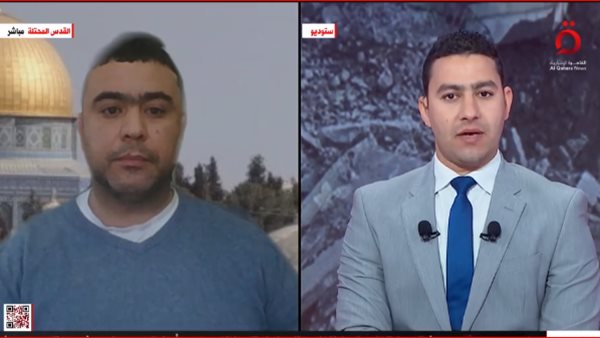 منير نسيبة، أستاذ