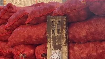 الكيلو بـ 18 جنيهًا.. وصول 10 أطنان بصل للشركة المصرية لتجارة الجملة بالأقصر | بث مباشر