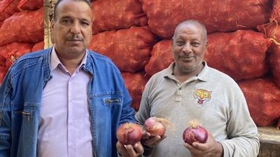 بسعر 18 جنيها للكيلو.. وصول 10 أطنان من البصل الأحمر الخزين بالأقصر | صور