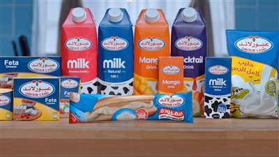 رئيس عبور لاند لـ القاهرة 24: تخفيضات الأسعار الجديدة تستهدف المستهلك النهائي