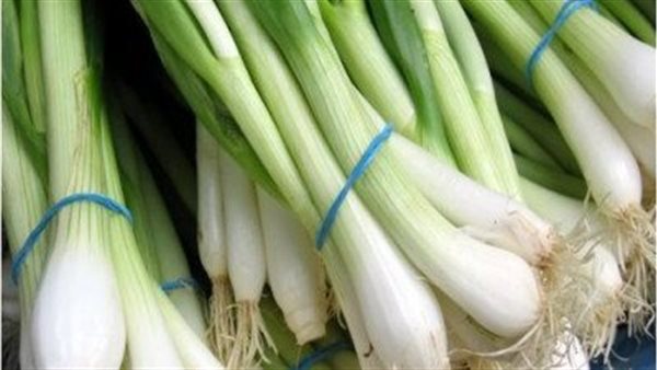 البصل الأخضر - أرشيفية