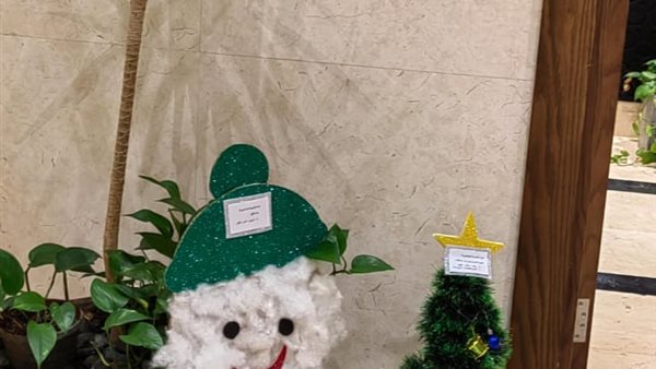 شجرة كريسماس صديقة