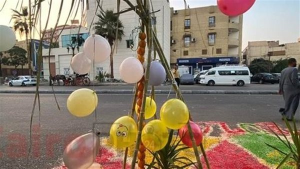 عيدان القصب اشجار