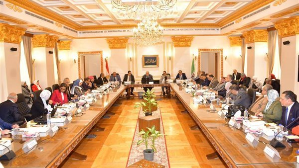 مجلس جامعة القاهرة