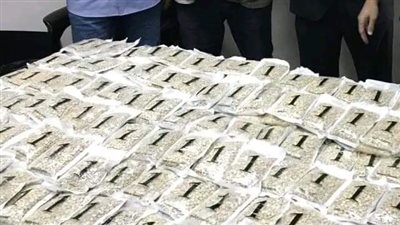 قيمتها نصف مليار جنيه.. بدء التحقيق في محاولة تهريب أقراص مخدرة داخل شحنة برتقال بسفاجا