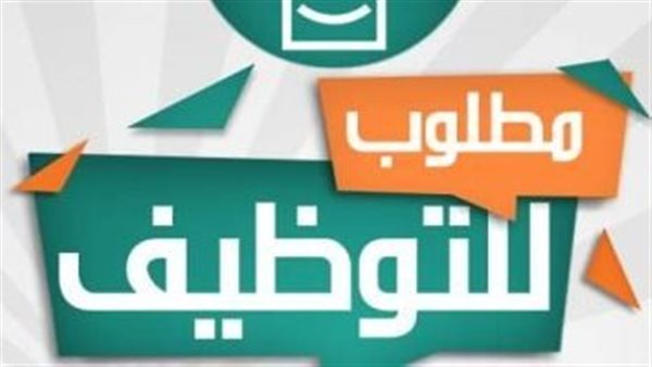وظائف خالية بالإسكندرية