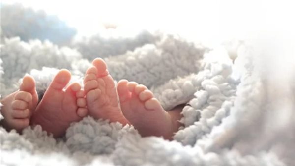 تفسير رؤية التوأم