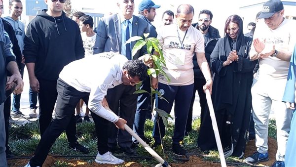 زراعة الأشجار - أرشيفية