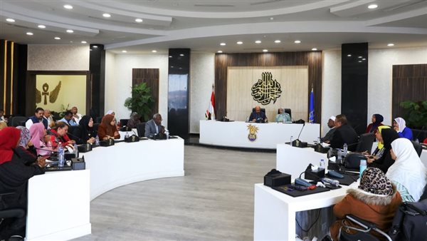 محافظ أسوان