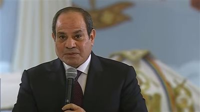 السيسي: نسعى لوقف إطلاق النيران في غزة وحل القضية الفلسطينية