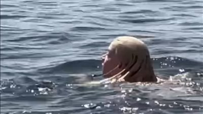 النجمة العالمية أنيا تايلور جوى تسبح بنيل الأقصر مستمتعة بإجازتها 