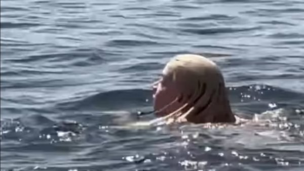 النجمة العالمية أنيا