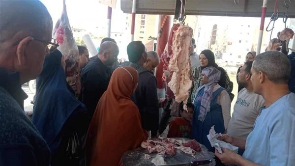 حملات تفتيشية بالمنيا