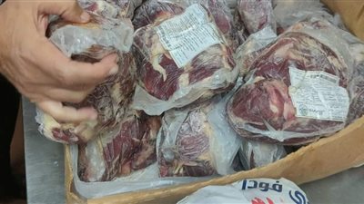 ضبط 137 كيلو لحوم مذبوحة خارج المجازر ودواجن وأسماك مدخنة منتهية الصلاحية بالغربية 