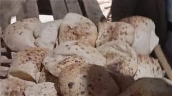 حملات تفتيشية بالمنيا