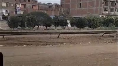 بعد توقف حركة الملاحة والصيد.. أمطار تضرب محافظة كفر الشيخ | بث مباشر