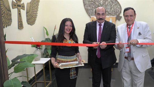 محافظ أسوان