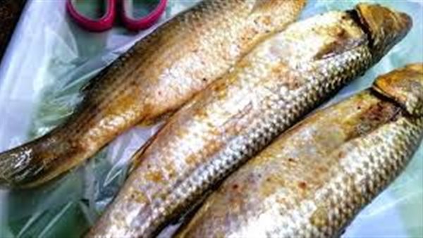 فسيخ- تعبيرية