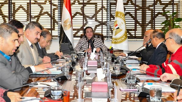 الدكتورة ياسمين فؤاد