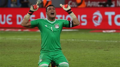 تحريات واقعة كلب زوجة عصام الحضري: لم تتمكن من السيطرة عليه.. وعقر المهندسة في أماكن متفرقة