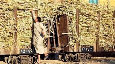 كان نفسه في عود قصب.. مصرع طفل أسفل عجلات الديكوفيل بالأقصر 