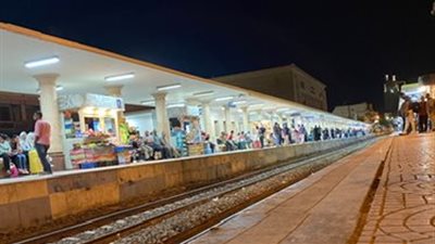 وقعت من القطار.. مصرع مُسنة انزلقت قدماها بأحد مزلقانات الأقصر 