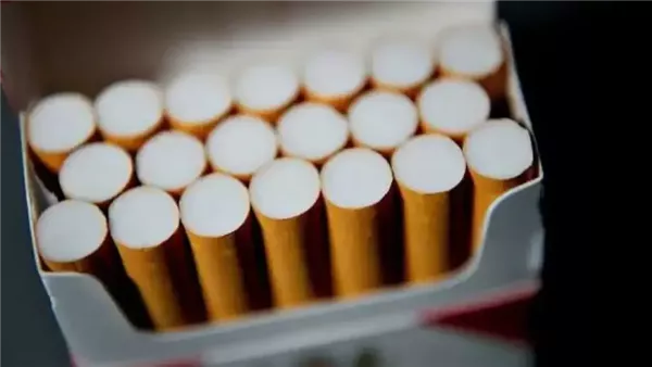 السجائر- أرشيفية