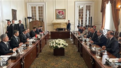 الخارجية: توافق مصري - صيني على ضرورة الوقف الفوري لإطلاق النار بغزة 