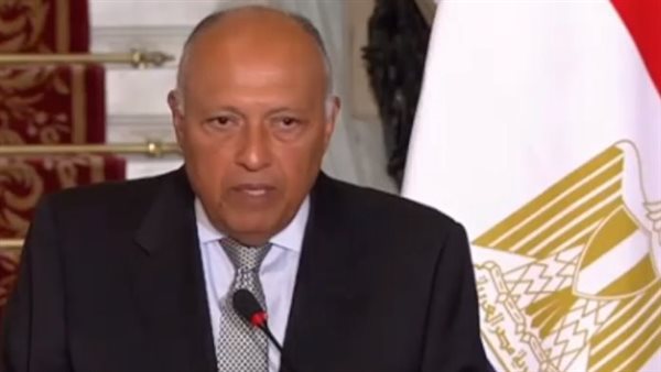 سامح شكري وزير الخارجية