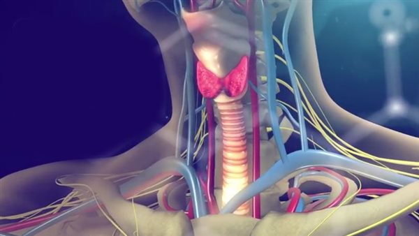 الغدة الدرقية 