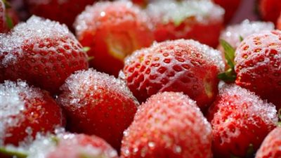 الأكثر نموًا.. صادرات الفراولة المجمدة تحقق 648 مليون دولار خلال أول 10 أشهر من 2025