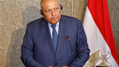 وزير الخارجية: هناك اتفاقية سلام مع إسرائيل سارية على مدار 40 عاما وسوف تستمر