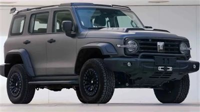 تلقي 1000 طلب شراء على سيارة صينية في ست ثوانٍ من طرحها للبيع.. تعرف عليها