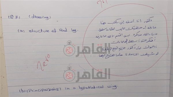 طالبة بعلوم طنطا