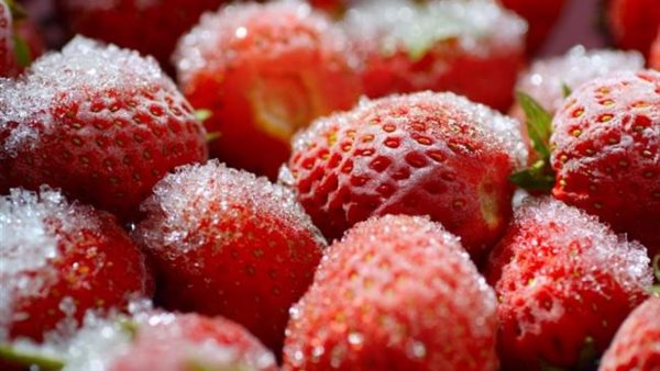 صادرات الفراولة