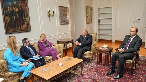 وزير الخارجية يلتقي