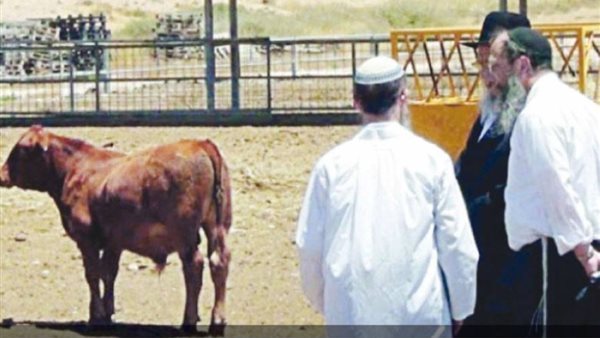 تفسير حلم اليهودي