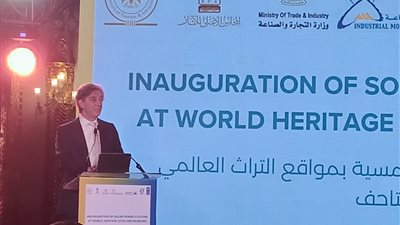 مندوب برنامج الأمم المتحدة: اعتماد مصر على الطاقة الشمسية وفر 1500 طن من انبعاثات الكربون
