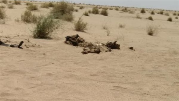 جثة في الجبل ـ أرشيفية