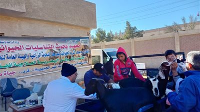 الزراعة: فحص أكثر من 5600 رأس ماشية وإجراء 32 عملية مجانًا في الفيوم