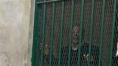 حبس يحيى حسين عبد الهادي سنة مع إيقاف التنفيذ | صورة