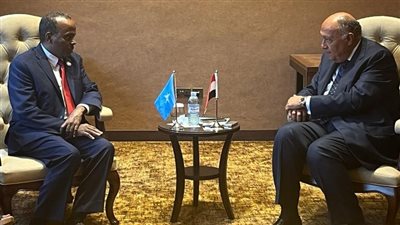 وزير الخارجية يؤكد تضامن مصر مع الصومال ضد محاولات انتهاك سيادته 