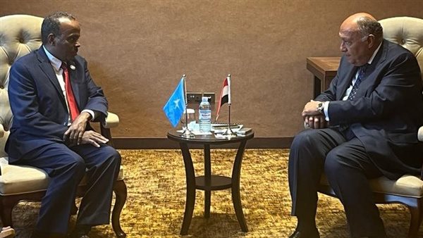 وزير الخارجية