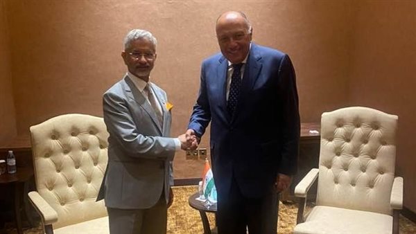 وزير الخارجية يلتقي