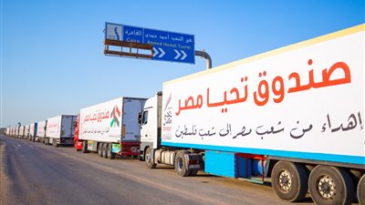 اتحاد الغرف التجارية يُثمن دور مصر في توفير المساعدات الإغاثية للفلسطينيين
