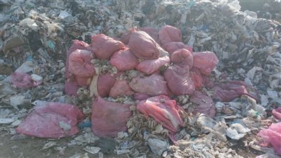 ضبط كمية كبيرة من مخلفات طبية خطرة بالبحيرة.. وتحرك عاجل من الصحة| صور