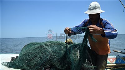 تهجير إجباري.. أخطاء في التعميق تقضي على الأسماك وأرزاق صيادي أكبر بحيرة في مصر | تحقيق 