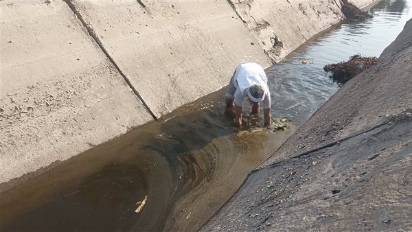 المواطن سعد خلال