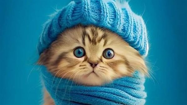 خلفية قطط كيوت