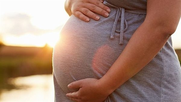 الحمل ـ أرشيفية 